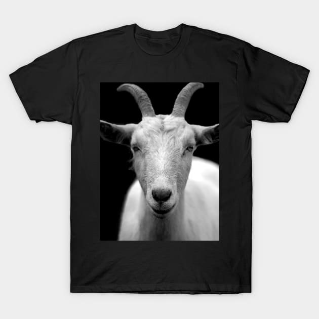 GOAT - Greatest Of All Time T-Shirt by Tees_N_Stuff